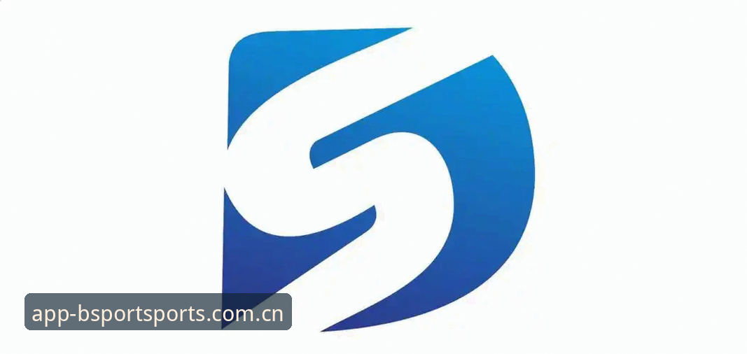 BSPORT体育APP下载安装迎来2025新版升级，用户体验与安全性双提升最新消息
